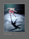 2016_Nr.11 Motion - 'Dancing on Ice’