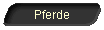 Pferde